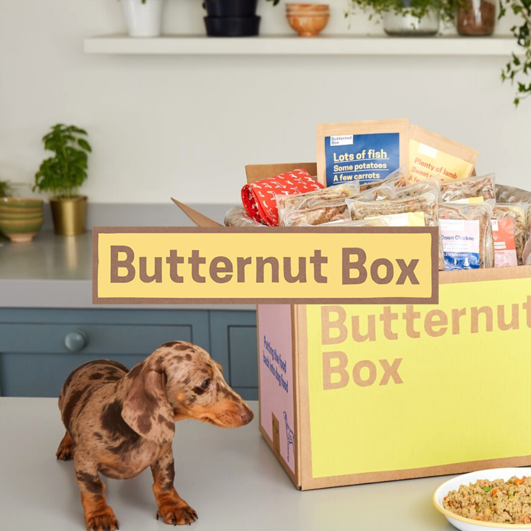 butternut box (1)